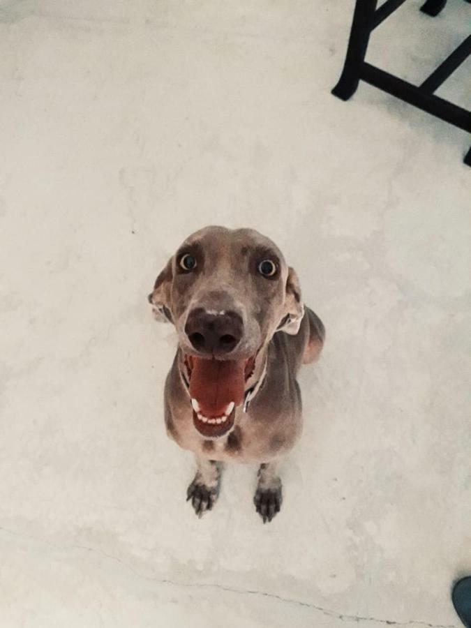 Willa Casa Juanita Bucerías Zewnętrze zdjęcie