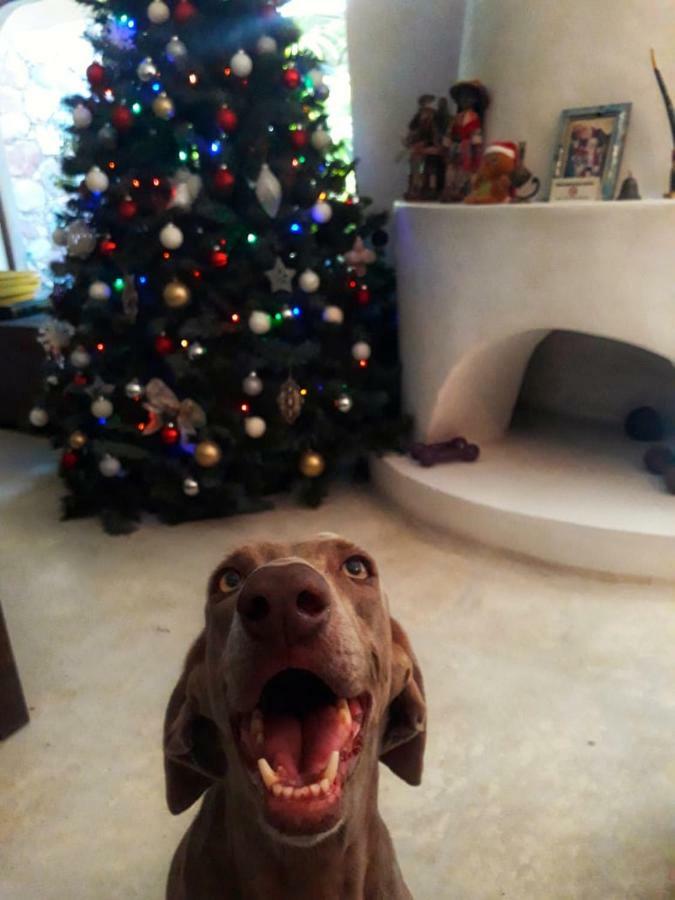 Willa Casa Juanita Bucerías Zewnętrze zdjęcie